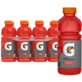 GATORADE FRUIT PUNCH 20OZ 6PK BOTTLES
