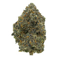 1/4 SNOWCAP PURPLE RUNTZ