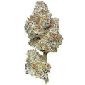 1/4 SNOWCAP DANTE'S INFERO
