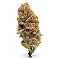 1/4 SNOWCAP DO-SI X ZKITTLEZ