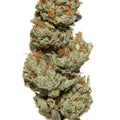 LB WILDFIRE 1/4 WILDFIRE