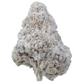 SNOWCAPS 1/4 SNOWCAPS