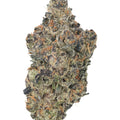 OREOZ 1/4 OREOZ