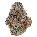 TWISTED TERP 1/4 TWISTED TERP