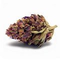 PURPLE HAZE 1/4 PURPLE HAZE