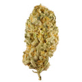 1/4 JACK HERER - MID
