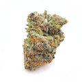 GELATO CAKE 1/4 GELATO CAKE
