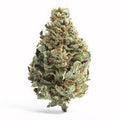 SHERBLATO 1/4 SHERBLATO