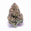 BLUEBERRY 1/4 BLUEBERRY