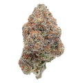 PURPLE PUNCH 1/4 PURPLE PUNCH