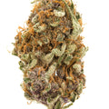 1/4 PINK LEMONADE-MID