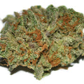 MIMOSA-MID 1/4 MIMOSA-MID