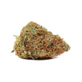 GELATO PUNCH 1/4 GELATO PUNCH