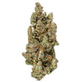 GRAPEFRUIT-MID 1/4 GRAPEFRUIT-MID