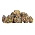 RUNTZ JEALOUSY-M 1/4 RUNTZ JEALOUSY-MID