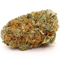 GSC-MID 1/4 GSC-MID