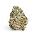 SUPER OREO-HIGH 1/4 SUPER OREO-HIGH
