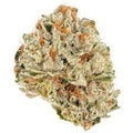 SOUR POISON-HIGH 1/4 SOUR POISON-HIGH