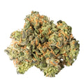 TROPICAL PUNCH 1/4 TROPICAL PUNCH-HIGH