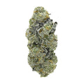 GARLIC BUDDER 1/4 GARLIC BUDDER-LOW/MID