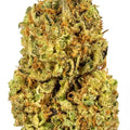 NY SOUR DIESEL 1/4 NY SOUR DIESEL MID/HIGH