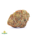 WATERMELON RUNTZ 1/4 WATERMELON RUNTZ-HIGH