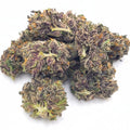 GELATO45-LOW 1/4 GELATO45-LOW