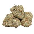 MAUI WOWIE-MID 1/4 MAUI WOWIE-MID