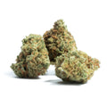 PINIC LEMONADE 1/4 PINIC LEMONADE/MID