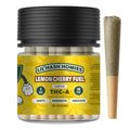 HIDDEN HILLS 1G 10PR LEMON CHERY