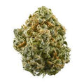 SOUR GAS-P 1/4 SOUR GAS-P