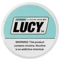 LUCY NIC POUCH 5CT 8MG WNTRGRN