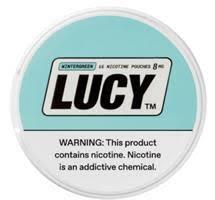 LUCY NIC POUCH 5CT 8MG WNTRGRN
