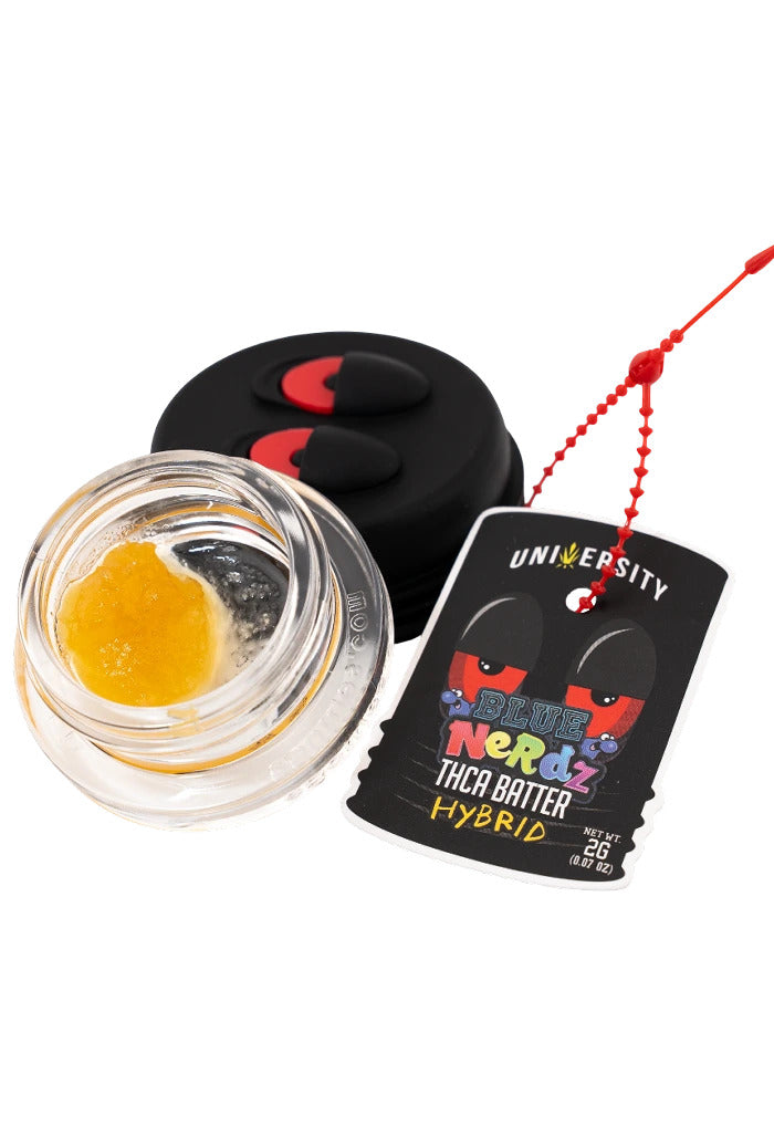 UNIVERSITY 2G BATTER BLUE NERDZ