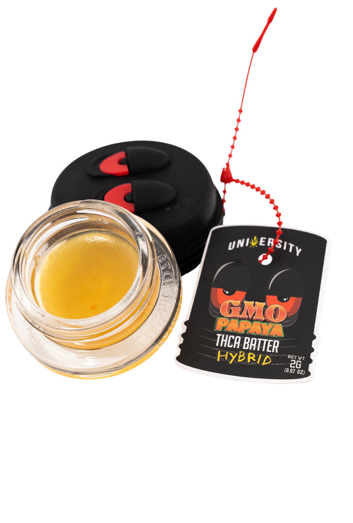 UNIVERSITY 2G BATTER GMO PAPAYA