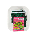 ALAMO CANDY TUB SOUR APPLE BELTS