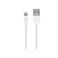 USB TO IPHONE