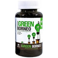 BUMBLE BEE GREEN BORNEO RD 90CT