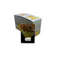 XX 24PK SINGLE