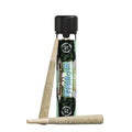 21 PREROL JOINTS 2G 1CT WATERMEL